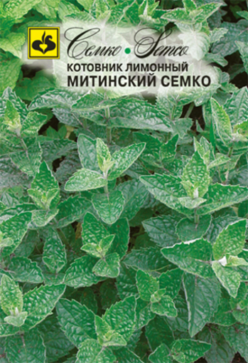 Picture of Mitinsky Semko Lemon Seeds of Wild Mint