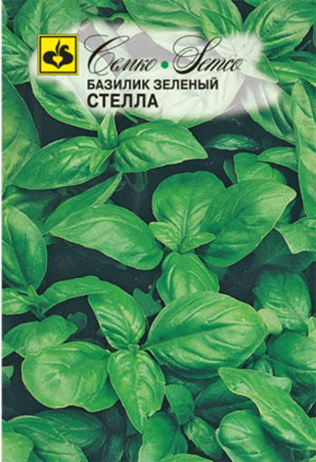 Picture of Basil seeds are green