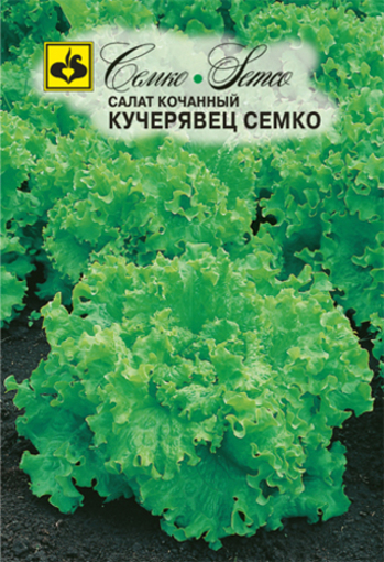 Picture of CEMKO Lettuce Seed