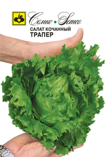 Picture of TPANEP Lettuce Seed