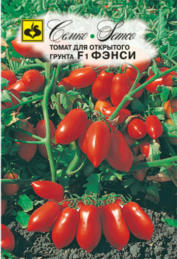 Picture of Tomato seed field  