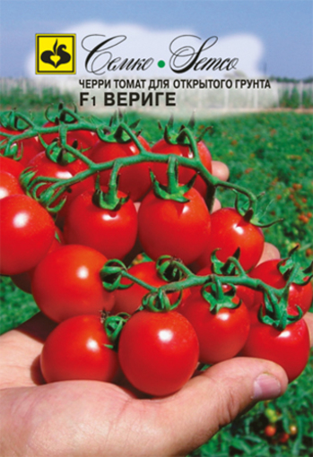 صورة بذور الطماطم الكرز للأرض المفتوحة Verige F1