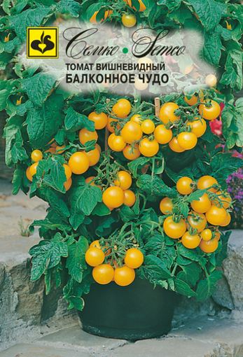 Picture of Yellow dwarf tomato seeds