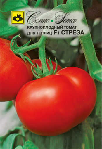 Picture of Stresa F1 tomato seeds