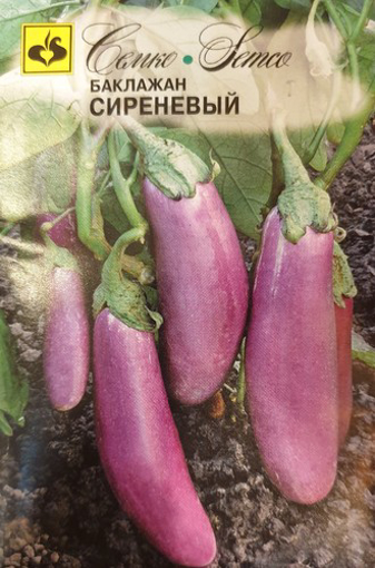 Picture of Purple eggplant seeds