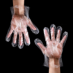 Picture of Plastic Gloves Transparent 100 pcs