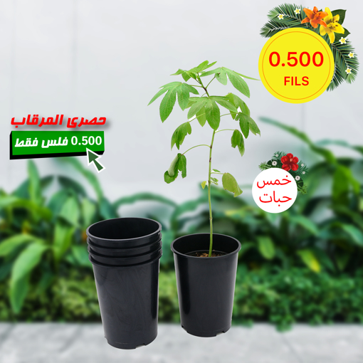 Picture of High Quality Plastic Pots for Plants 20 x 5 cm 5 Pcs