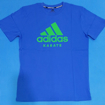 Picture of adidas Blue / Green T-Shirt