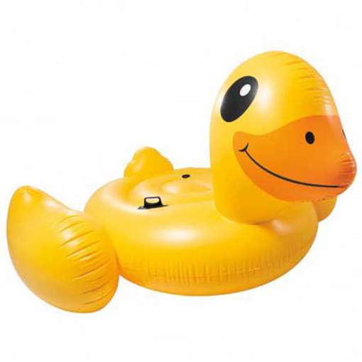 Picture of floating duck