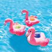 Picture of flamingo cup holder